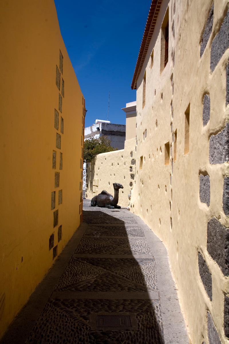 Hotel Rural Casa De Los Camellos Aguimes Luaran gambar